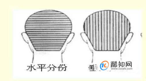 ��ѧ�������ż�������